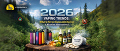2026 Vaping Trends: What's Hot in Disposable Devices and Nicotine Alternatives?