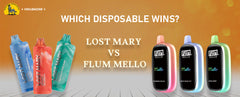 Lost Mary vs Flum Mello, Which Disposable Wins?