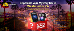 Disposable Vape Mystery Box in Westminster, CA: Everything You Need to Know