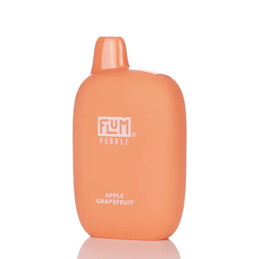 Flum Pebble Disposable Vape 5% (6000 Puffs)