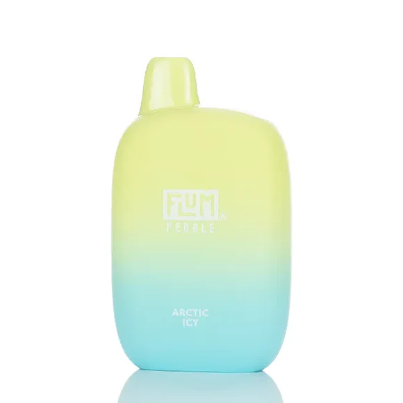 Flum Pebble Disposable Vape 5% (6000 Puffs)