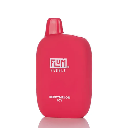 Flum Pebble Disposable Vape 5% (6000 Puffs)