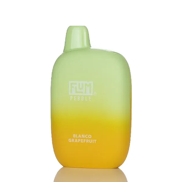 Flum Pebble Disposable Vape 5% (6000 Puffs)