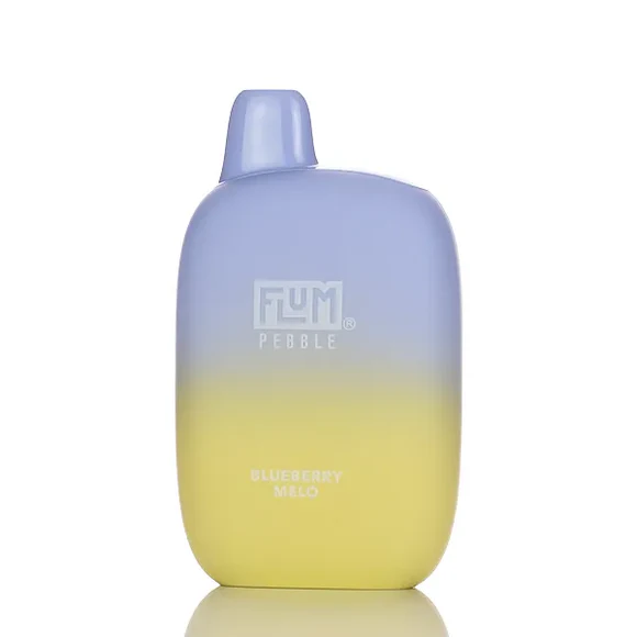 Flum Pebble Disposable Vape 5% (6000 Puffs)