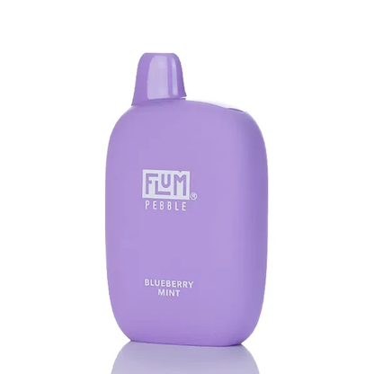 Flum Pebble Disposable Vape 5% (6000 Puffs)
