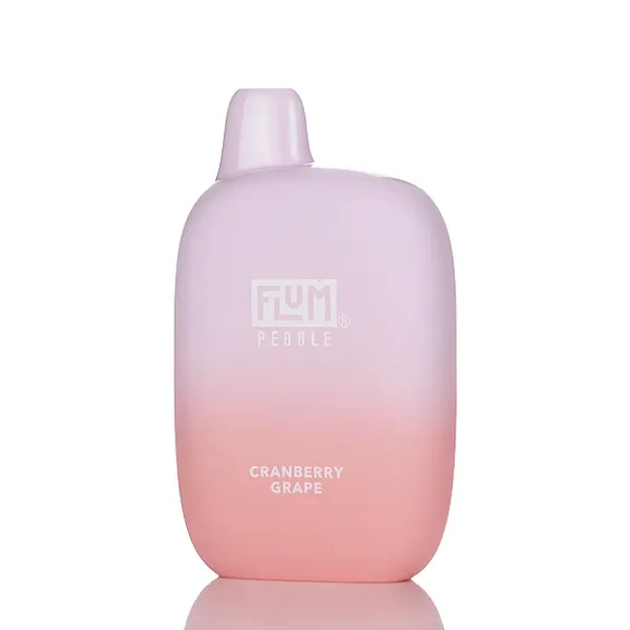 Flum Pebble Disposable Vape 5% (6000 Puffs)
