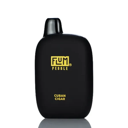 Flum Pebble Disposable Vape 5% (6000 Puffs)