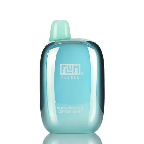 Flum Pebble Disposable Vape 5% (6000 Puffs)