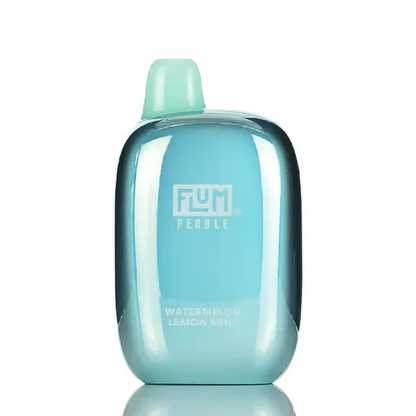 Flum Pebble Disposable Vape 5% (6000 Puffs)