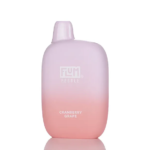 Flum Pebble Disposable Vape 5% (6000 Puffs)