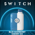 Mr. Fog Switch Disposable Device 5500 Puffs 10pk - Image 3