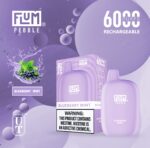 Flum Pebble Disposable Device 5% 6000 Puffs - Image 9