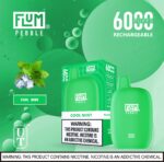 Flum Pebble Disposable Device 5% 6000 Puffs - Image 12