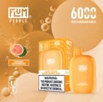 Flum Pebble Disposable Device 5% 6000 Puffs - Image 14