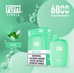 Flum Pebble Disposable Device 5% 6000 Puffs - Image 18