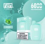 Flum Pebble Disposable Device 5% 6000 Puffs - Image 23