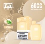 Flum Pebble Disposable Device 5% 6000 Puffs - Image 28