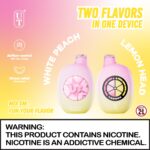 Flum UT Disposable Device - 50000 Puffs