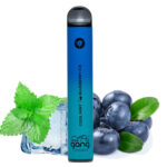 Gang XL 6% Disposable 600 Puffs 10pk - Image 5
