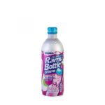 Exotic Sangaria Drinks - Image 2