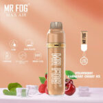 Mr. Fog Max Air Mesh Coil Disposable 3000 Puffs 10pk - Image 4