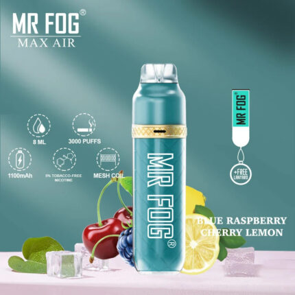 Mr. Fog Max Air Mesh Coil Disposable 3000 Puffs 10pk