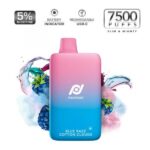 Pod Pocket Disposable Device 0% 7500 Puffs 10pk - Image 3